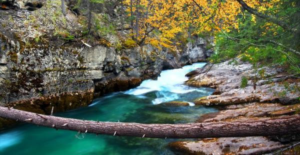 آلبرتای زیبا: تنگه Maligne رویای تمام کوهنوردان